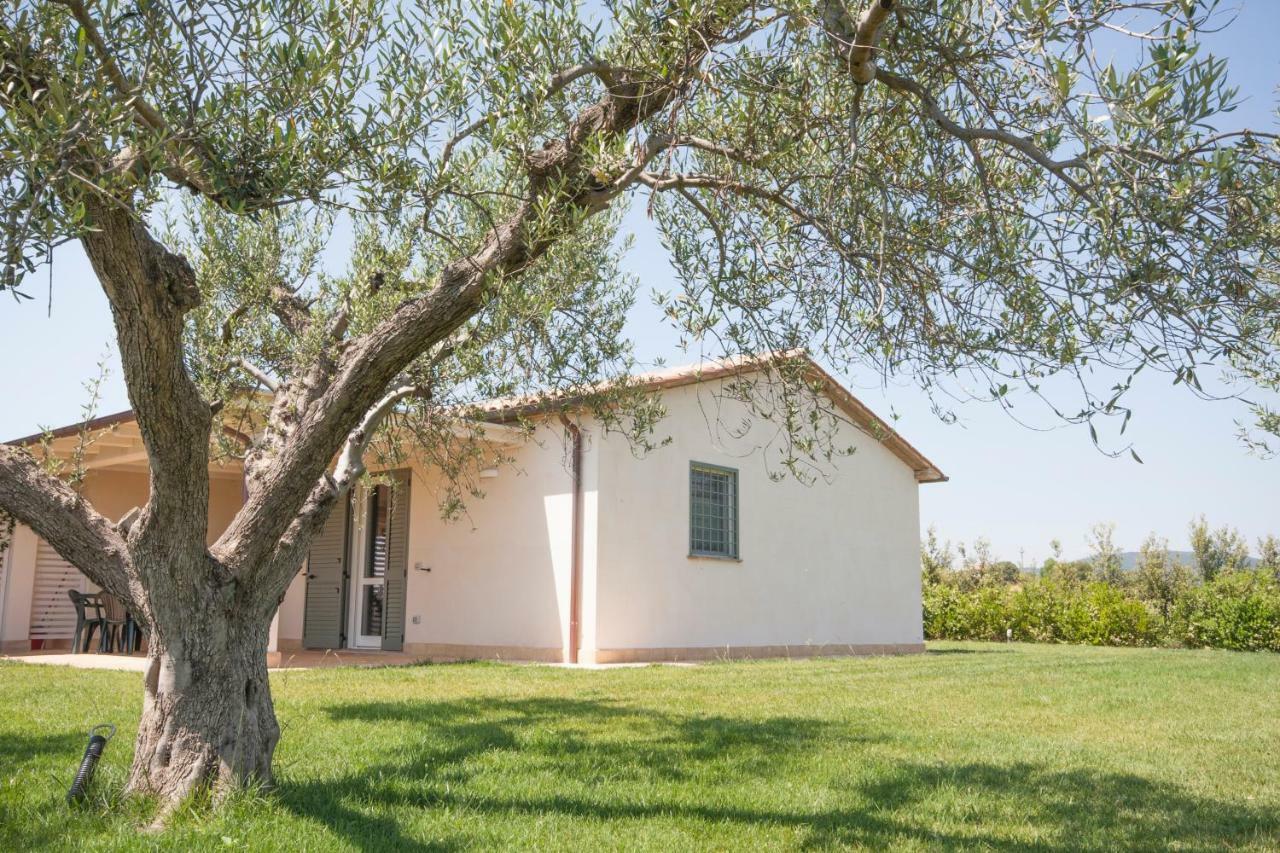 Agriturismo Il Mirto Pescia Romana Exterior photo