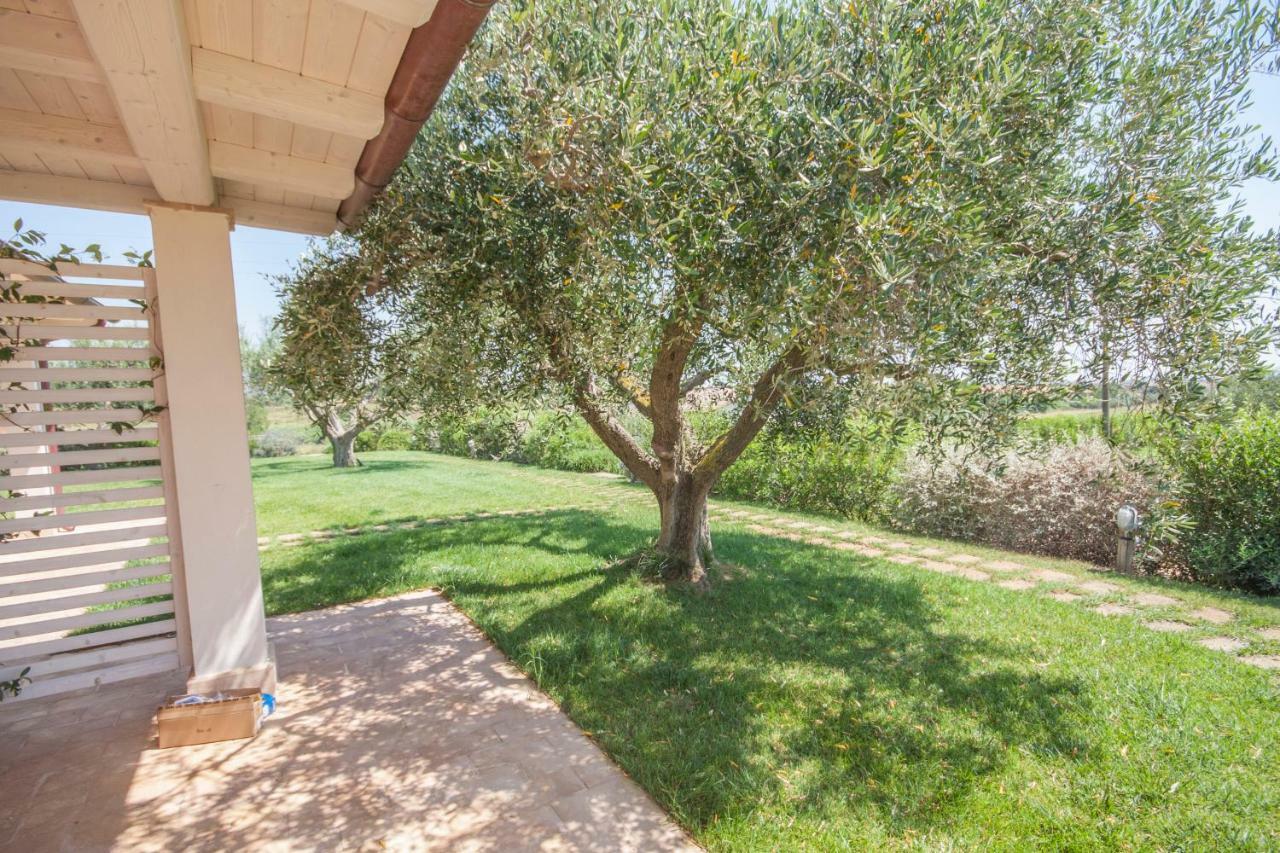 Agriturismo Il Mirto Pescia Romana Room photo